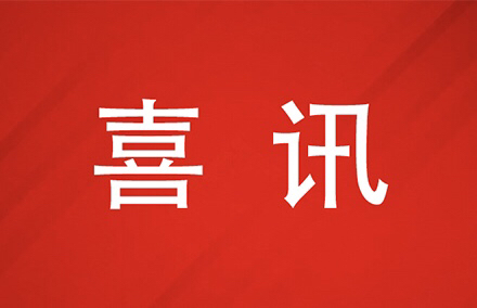 bwin - 专业体育赛事直播与资讯平台