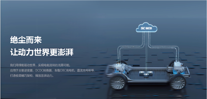 bwin - 专业体育赛事直播与资讯平台